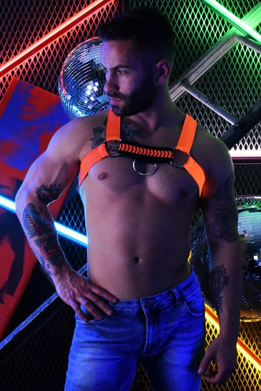 2XL/3XL BREEDWELL Nightcrawler Harness REVERSIBLE Rubberized Orange 21