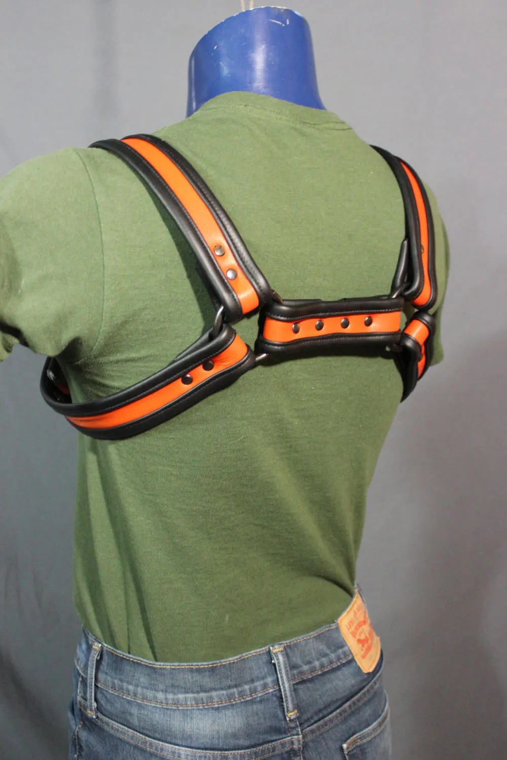 Black and Orange Bulldog Harness and Jock Combo!