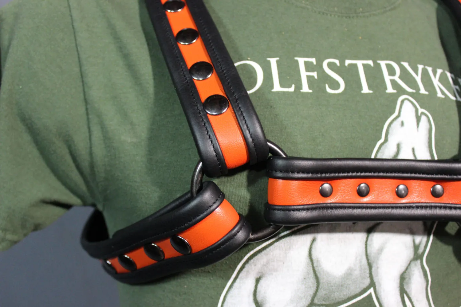 Black and Orange Bulldog Harness and Jock Combo!